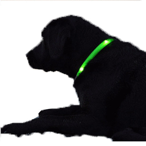 iWebCart - iWebCart - Glowing LED Dog Collar - Assorted Colors and Sizes
